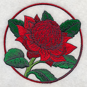 Elegant Flower Circle - Waratah