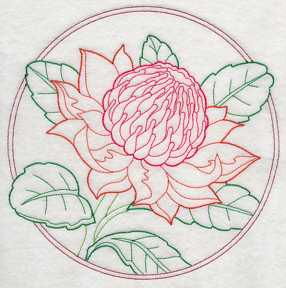 Elegant Flower Circle - Waratah (Vintage)