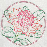 Elegant Flower Circle - Waratah (Vintage)