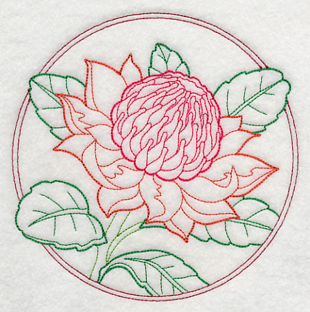 Elegant Flower Circle - Waratah (Vintage)