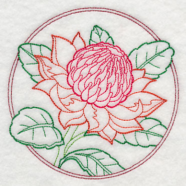Elegant Flower Circle - Waratah (Vintage)