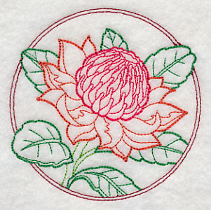 Elegant Flower Circle - Waratah (Vintage)