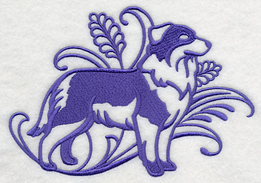 Graceful Australian Shepherd (Full Tail)