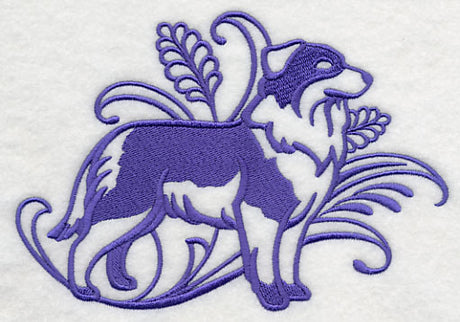 Graceful Australian Shepherd (Full Tail)