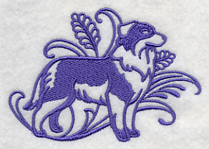 Graceful Australian Shepherd (Full Tail)