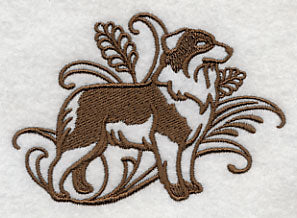 Graceful Australian Shepherd (Docked Tail)