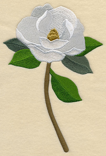 Magnolia with Long Stem