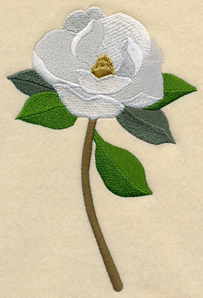 Magnolia with Long Stem