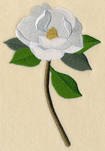 Magnolia with Long Stem