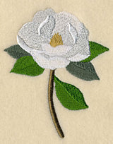 Magnolia with Long Stem