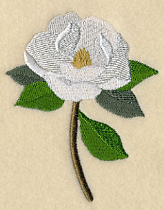 Magnolia with Long Stem