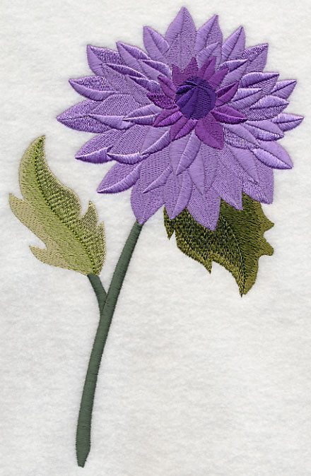 Dahlia with Long Stem