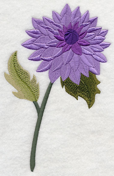 Dahlia with Long Stem