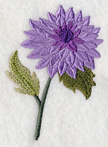 Dahlia with Long Stem