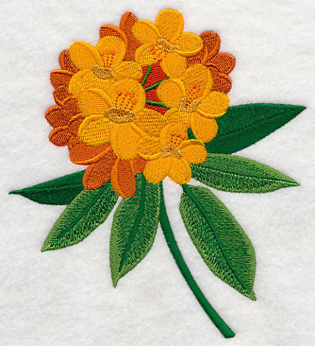 Rhododendron with Long Stem