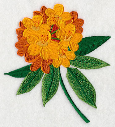 Rhododendron with Long Stem