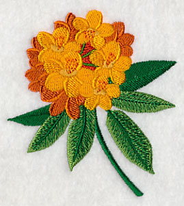 Rhododendron with Long Stem