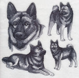 Norwegian Elkhound Sketch