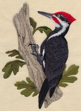Pileated Woodpecker