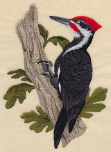 Pileated Woodpecker