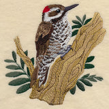 Arizona Woodpecker