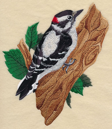 Downy Woodpecker