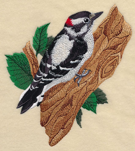 Downy Woodpecker