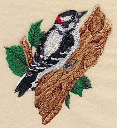 Downy Woodpecker