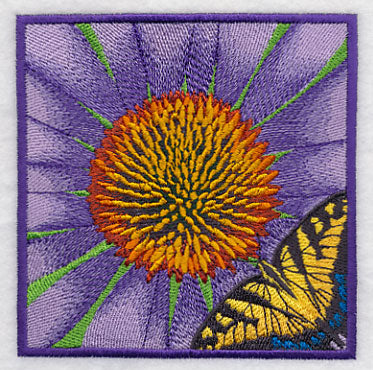 Butterfly on Coneflower