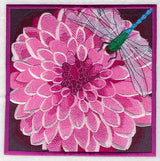 Dragonfly on Dahlia