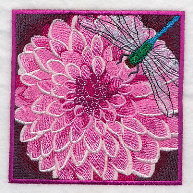 Dragonfly on Dahlia