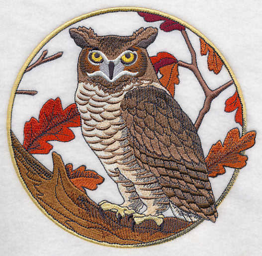 Great Horned Owl in Autumn