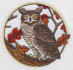 Great Horned Owl in Autumn