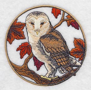 Barn Owl in Autumn
