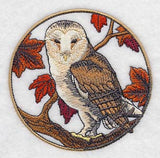 Barn Owl in Autumn