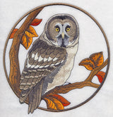 Great Grey Owl in Autumn
