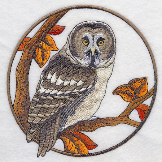 Great Grey Owl in Autumn