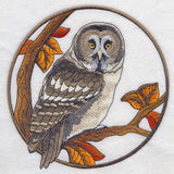 Great Grey Owl in Autumn