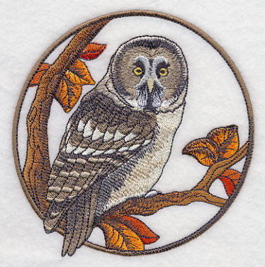 Great Grey Owl in Autumn