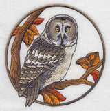 Great Grey Owl in Autumn