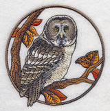 Great Grey Owl in Autumn