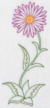 Long Stemmed Aster (Vintage)