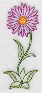 Long Stemmed Aster (Vintage)