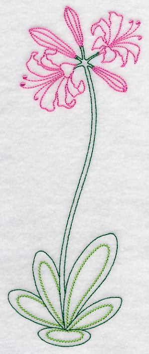 Long Stemmed Nerine (Vintage)