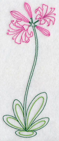 Long Stemmed Nerine (Vintage)