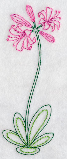 Long Stemmed Nerine (Vintage)