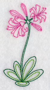 Long Stemmed Nerine (Vintage)