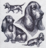 Basset Hound Sketch