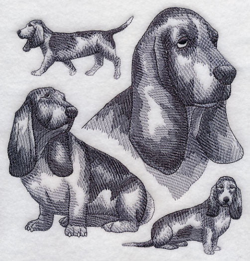 Basset Hound Sketch