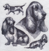 Basset Hound Sketch